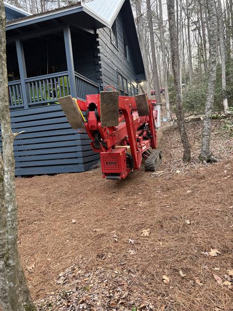 Tree removal and lot clearing by Whitener Tree Service, Blue Ridge GA — job 24