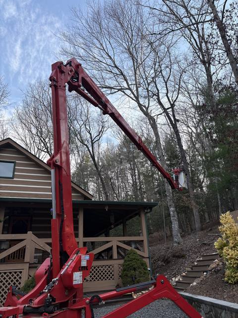 Tree removal and lot clearing by Whitener Tree Service, Blue Ridge GA — job 26
