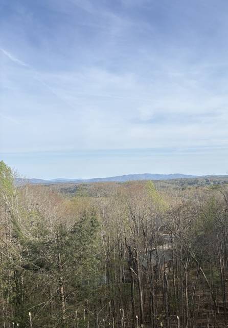 Tree removal and lot clearing by Whitener Tree Service, Blue Ridge GA — job 32